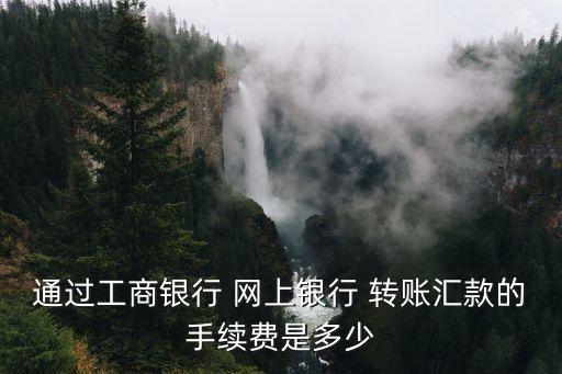 通過工商銀行 網(wǎng)上銀行 轉(zhuǎn)賬匯款的手續(xù)費(fèi)是多少