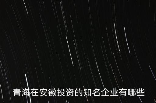 青海鹽湖特立鎂有限公司