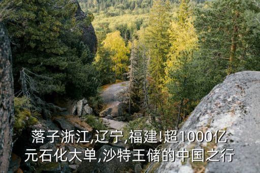 落子浙江,遼寧,福建!超1000億元石化大單,沙特王儲(chǔ)的中國(guó)之行