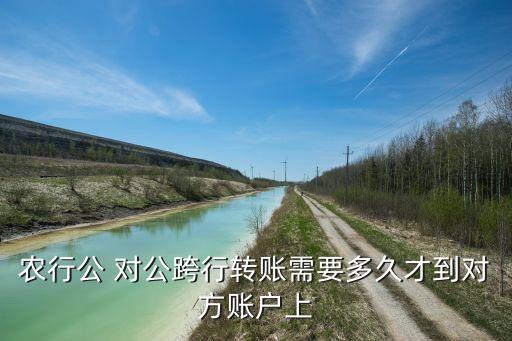 農(nóng)行公 對(duì)公跨行轉(zhuǎn)賬需要多久才到對(duì)方賬戶上