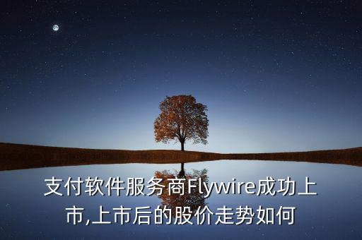 支付軟件服務(wù)商Flywire成功上市,上市后的股價走勢如何