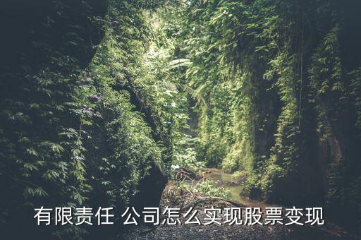 有限責任 公司怎么實現(xiàn)股票變現(xiàn)