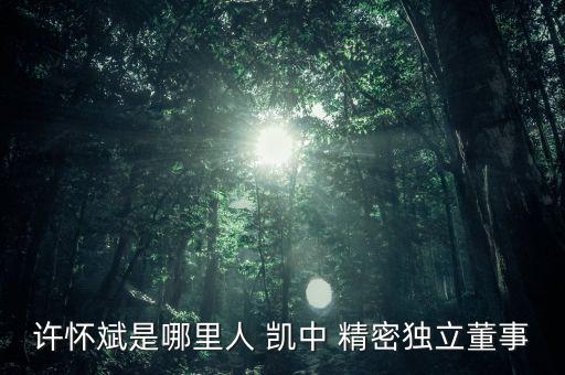 深圳市凱中精密技術有限公司