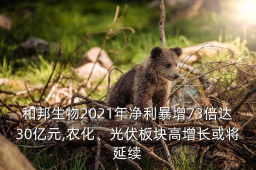 和邦生物2021年凈利暴增73倍達(dá)30億元,農(nóng)化、光伏板塊高增長(zhǎng)或?qū)⒀永m(xù)