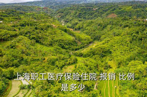  上海職工醫(yī)療保險住院 報銷 比例是多少