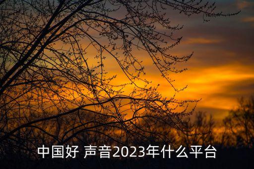 中國(guó)好 聲音2023年什么平臺(tái)