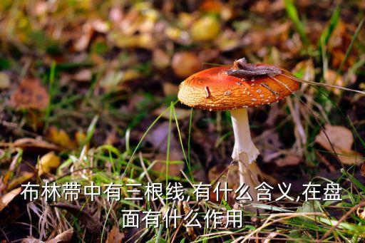 股票布林線是均線嗎,布林線加5日均線指標(biāo)公式源碼