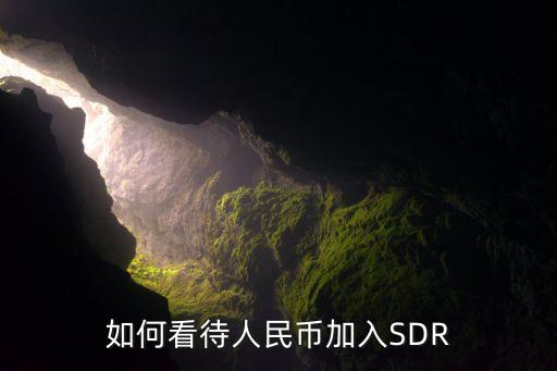 中國貨幣加入sdr,中國數(shù)字貨幣