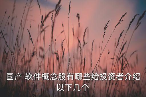 國(guó)產(chǎn) 軟件概念股有哪些給投資者介紹以下幾個(gè)