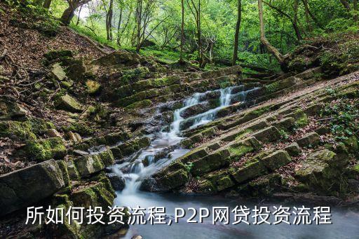 貸金所如何投資流程,P2P網貸投資流程