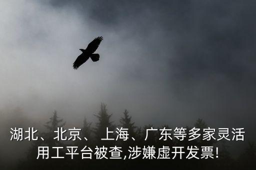 湖北、北京、 上海、廣東等多家靈活用工平臺被查,涉嫌虛開發(fā)票!