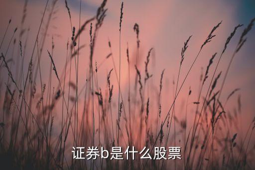 指數(shù)分級基金b,分級基金是什么意思