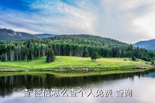 人民銀行征信系統(tǒng)查詢,全國人民銀行征信系統(tǒng)查詢