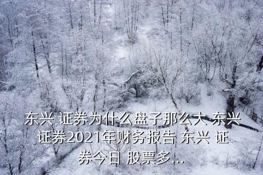  東興 證券為什么盤子那么大 東興 證券2021年財務(wù)報告 東興 證券今日 股票多...