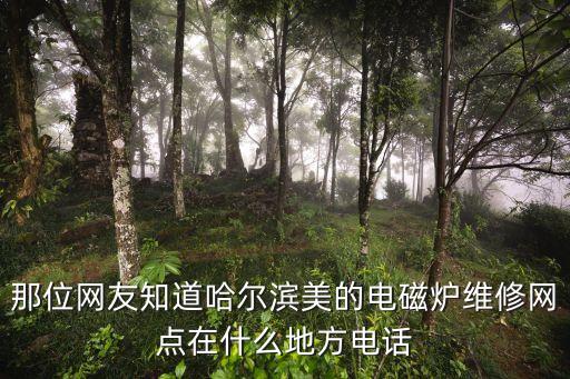 七臺河緯地水泥有限責任公司,大唐七臺河發(fā)電有限責任公司