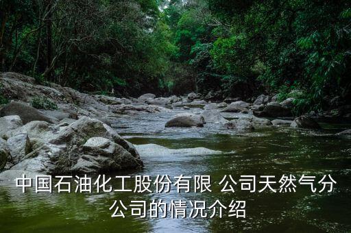 中國石油化工股份有限 公司天然氣分 公司的情況介紹