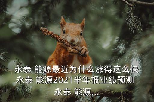  永泰 能源最近為什么漲得這么快 永泰 能源2021半年報業(yè)績預(yù)測 永泰 能源...