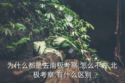 中國北歐北極研究中心,復(fù)旦大學(xué)北歐研究中心