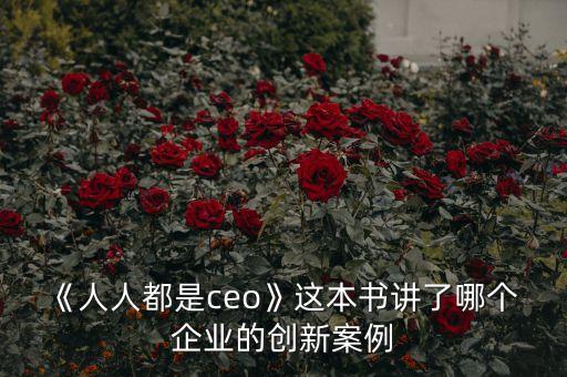 《人人都是ceo》這本書(shū)講了哪個(gè) 企業(yè)的創(chuàng)新案例