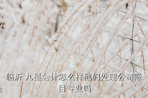 臨沂 九星會計怎么樣他們處理公司賬目專業(yè)嗎