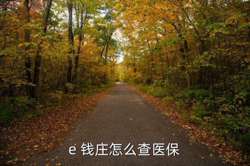 e 錢莊怎么查醫(yī)保