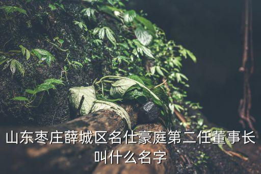 山東棗莊薛城區(qū)名仕豪庭第二任董事長(zhǎng)叫什么名字