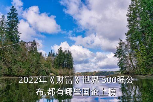 2022年《財富》世界 500強(qiáng)公布,都有哪些國企上榜