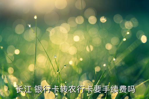  長江 銀行卡轉(zhuǎn)農(nóng)行卡要手續(xù)費(fèi)嗎