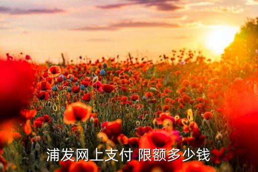 浦發(fā)網(wǎng)上支付 限額多少錢