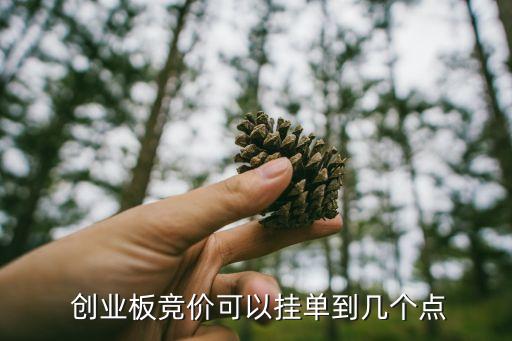  創(chuàng)業(yè)板競(jìng)價(jià)可以掛單到幾個(gè)點(diǎn)