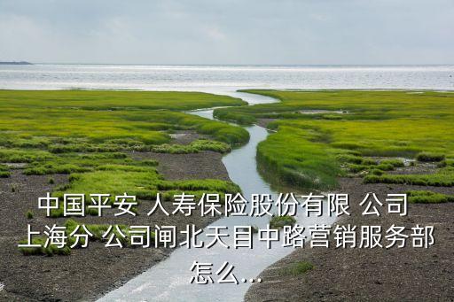 上海人壽保險(xiǎn)公司孫磊,上海大家人壽保險(xiǎn)公司地址