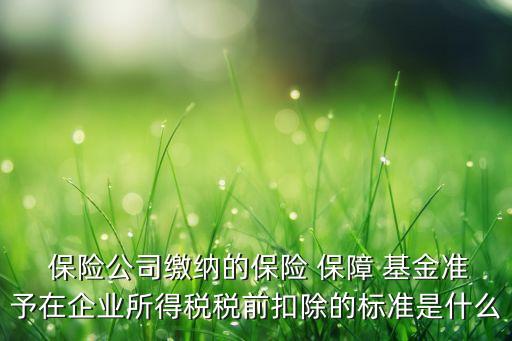  保險(xiǎn)公司繳納的保險(xiǎn) 保障 基金準(zhǔn)予在企業(yè)所得稅稅前扣除的標(biāo)準(zhǔn)是什么