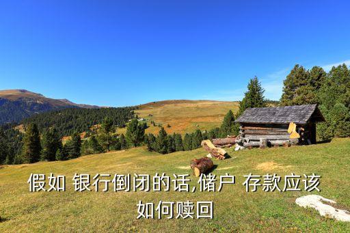 假如 銀行倒閉的話,儲(chǔ)戶 存款應(yīng)該如何贖回