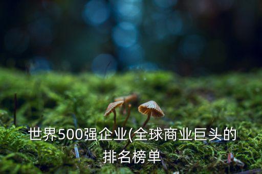  世界500強(qiáng)企業(yè)(全球商業(yè)巨頭的 排名榜單