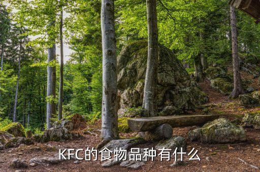 KFC的食物品種有什么