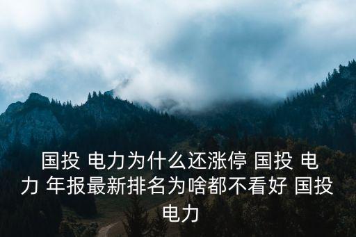 國投電力控股股份有限公司年報,國投集團國投電力控股股份有限公司