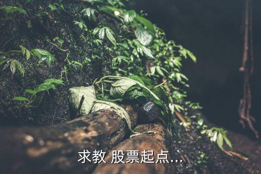 求教 股票起點(diǎn)...