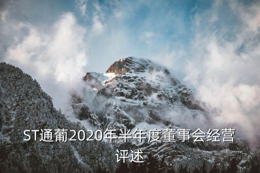 ST通葡2020年半年度董事會經(jīng)營評述