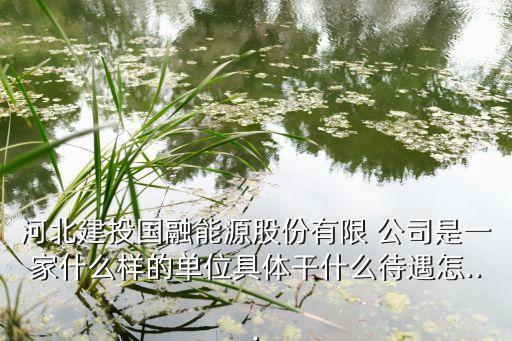 河北建投國融能源股份有限 公司是一家什么樣的單位具體干什么待遇怎...