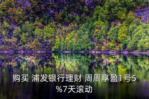 購買 浦發(fā)銀行理財 周周享盈1號5%7天滾動