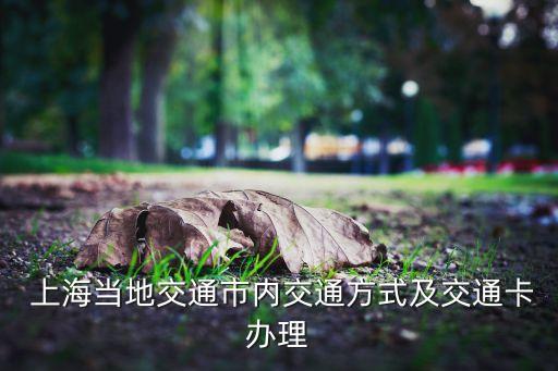  上海當(dāng)?shù)亟煌ㄊ袃?nèi)交通方式及交通卡辦理