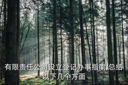 有限責任公司設(shè)立登記辦事指南,總結(jié)以下幾個方面