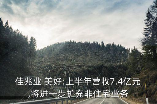 佳兆業(yè) 美好:上半年?duì)I收7.4億元,將進(jìn)一步擴(kuò)充非住宅業(yè)務(wù)