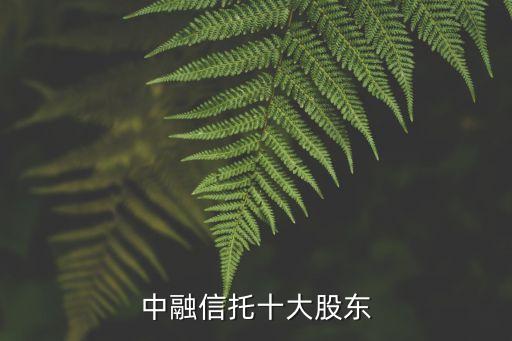 中融信托十大股東