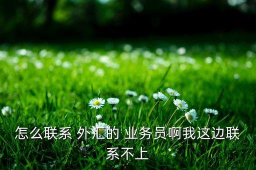 怎么聯(lián)系 外匯的 業(yè)務(wù)員啊我這邊聯(lián)系不上