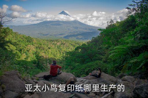  亞太小鳥復(fù)印紙哪里生產(chǎn)的