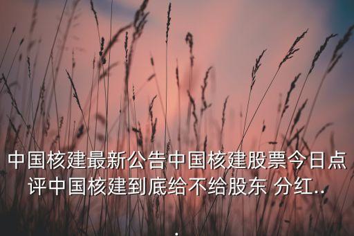 中國核建最新公告中國核建股票今日點評中國核建到底給不給股東 分紅...