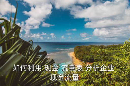 如何利用 現(xiàn)金 流量表 分析企業(yè) 現(xiàn)金流量