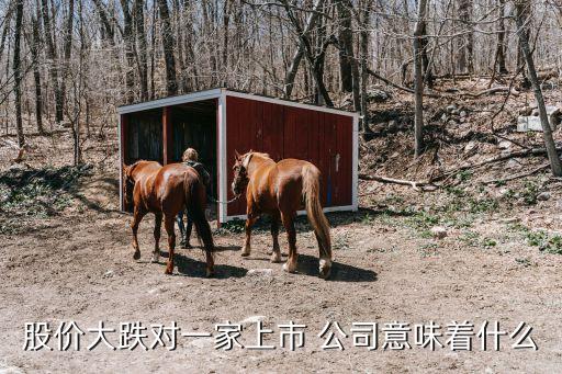 股價大跌對一家上市 公司意味著什么