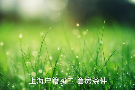 上海人認定二套房的標準